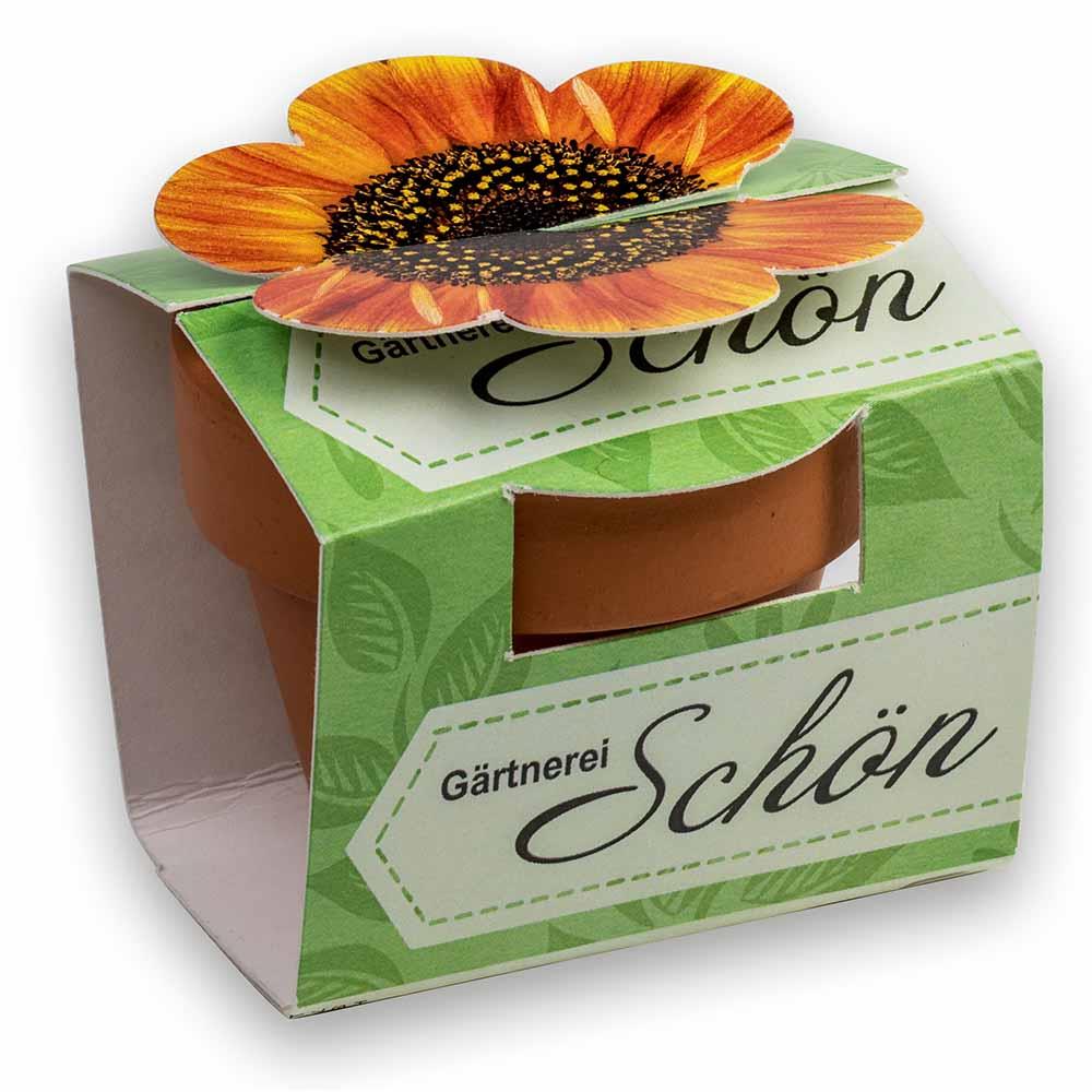 Tontöpfchen-Blume mit Samen - Ostern - Vergissmeinnicht