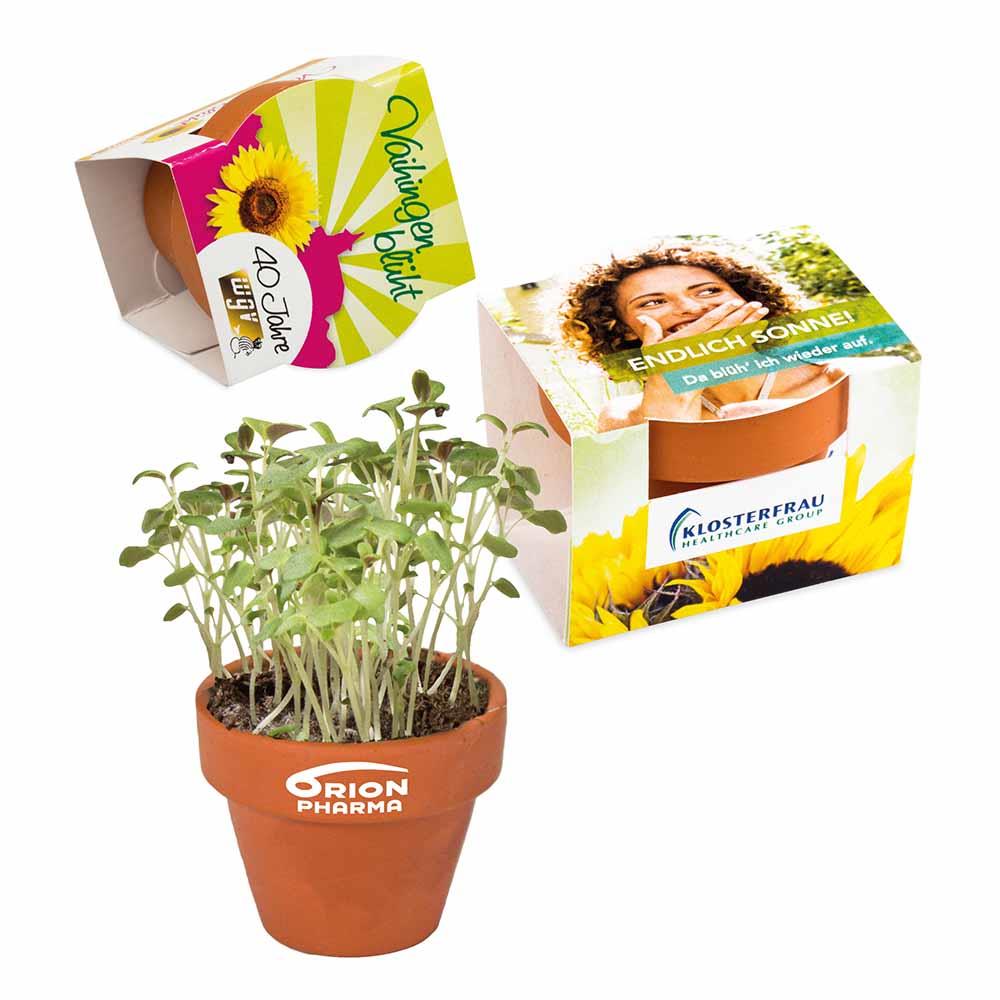 Logo-Töpfchen Komplettbanderole mit Samen - Vergissmeinnicht