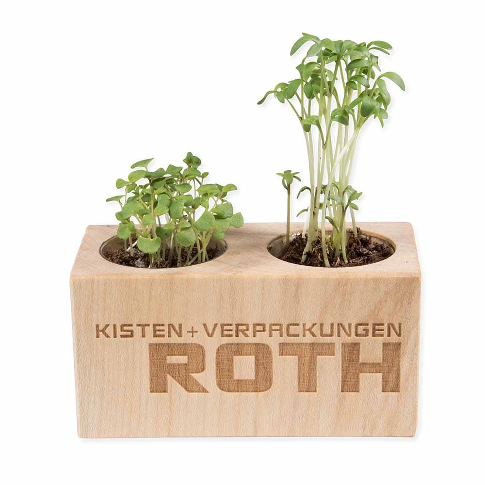 Pflanz-Holz 2er Set mit Samen - Gewürzpaprika, 2 Seiten gelasert
