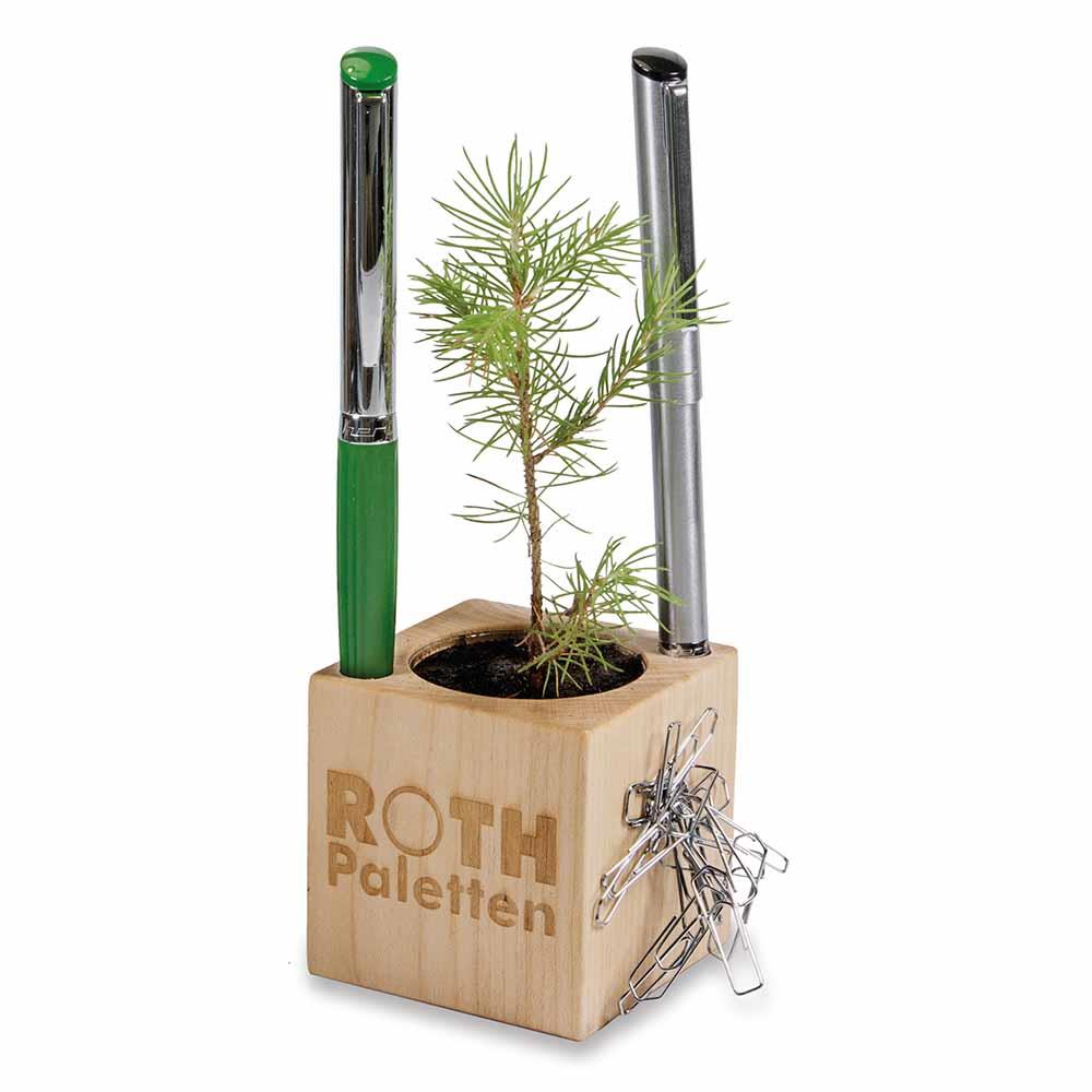 Pflanz-Holz Büro Star-Box mit Samen - Gewürzpaprika, 2 Seiten gelasert