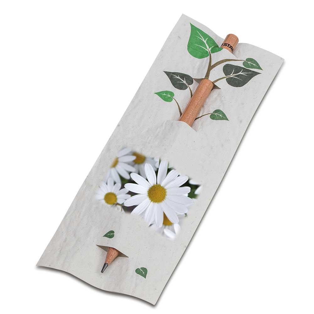 Bleistift im Samenpapieretui - Ostern - Margerite, Druck 4/0c, Lasergravur