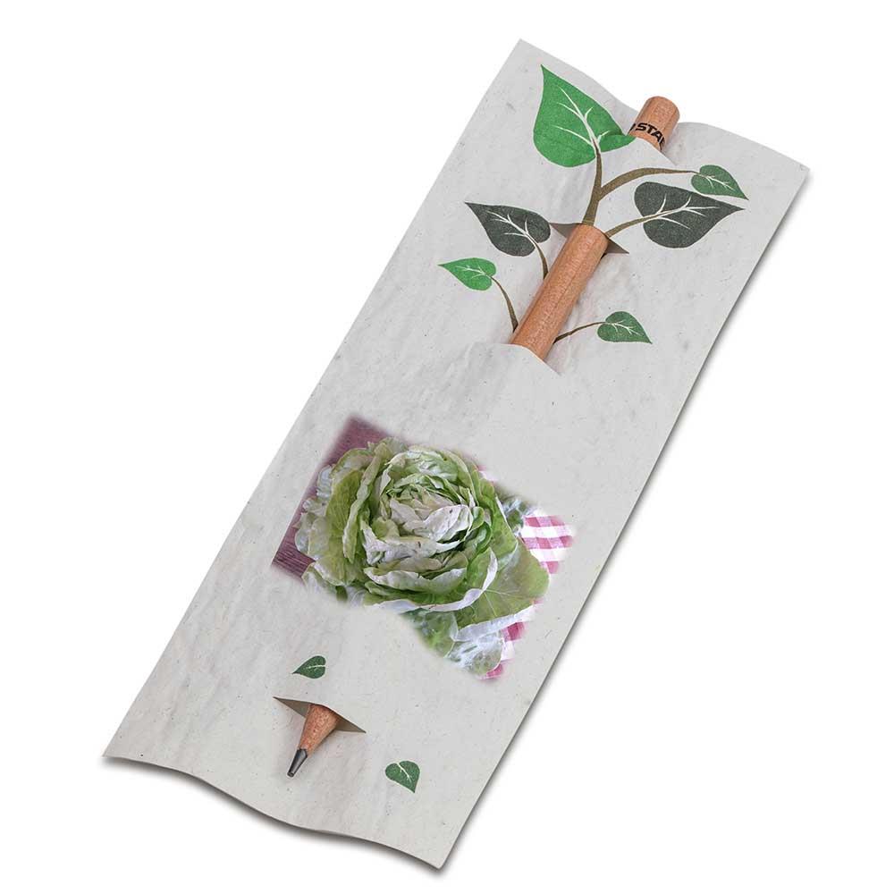 Bleistift im Samenpapieretui - Ostern - Kopfsalat, Druck 4/4-c