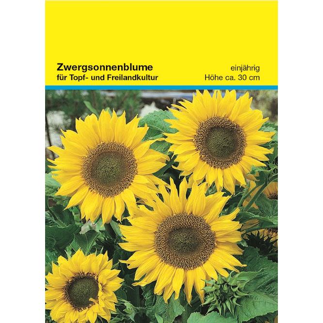 Samentütchen Zwergsonnenblume 82 x 114 mm