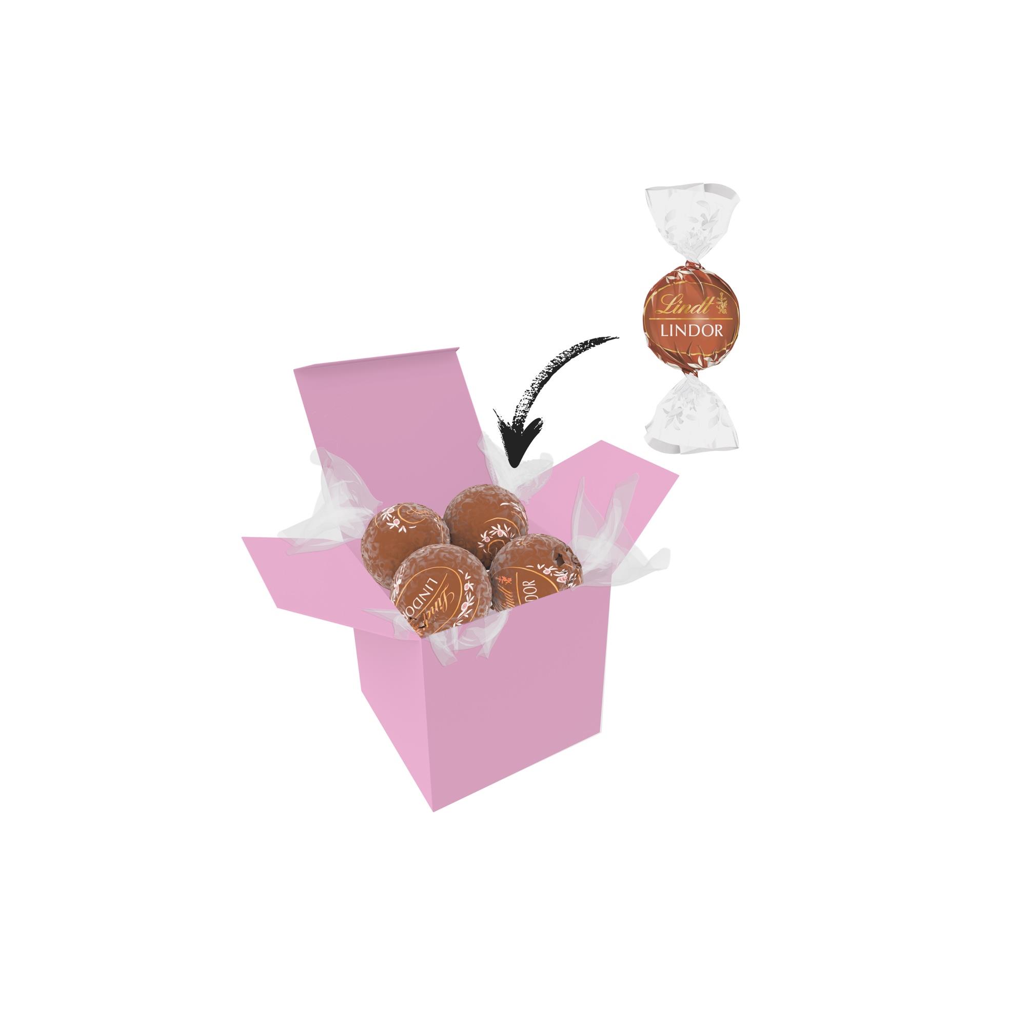 Color Lindor Box - Rosa - Haselnuss