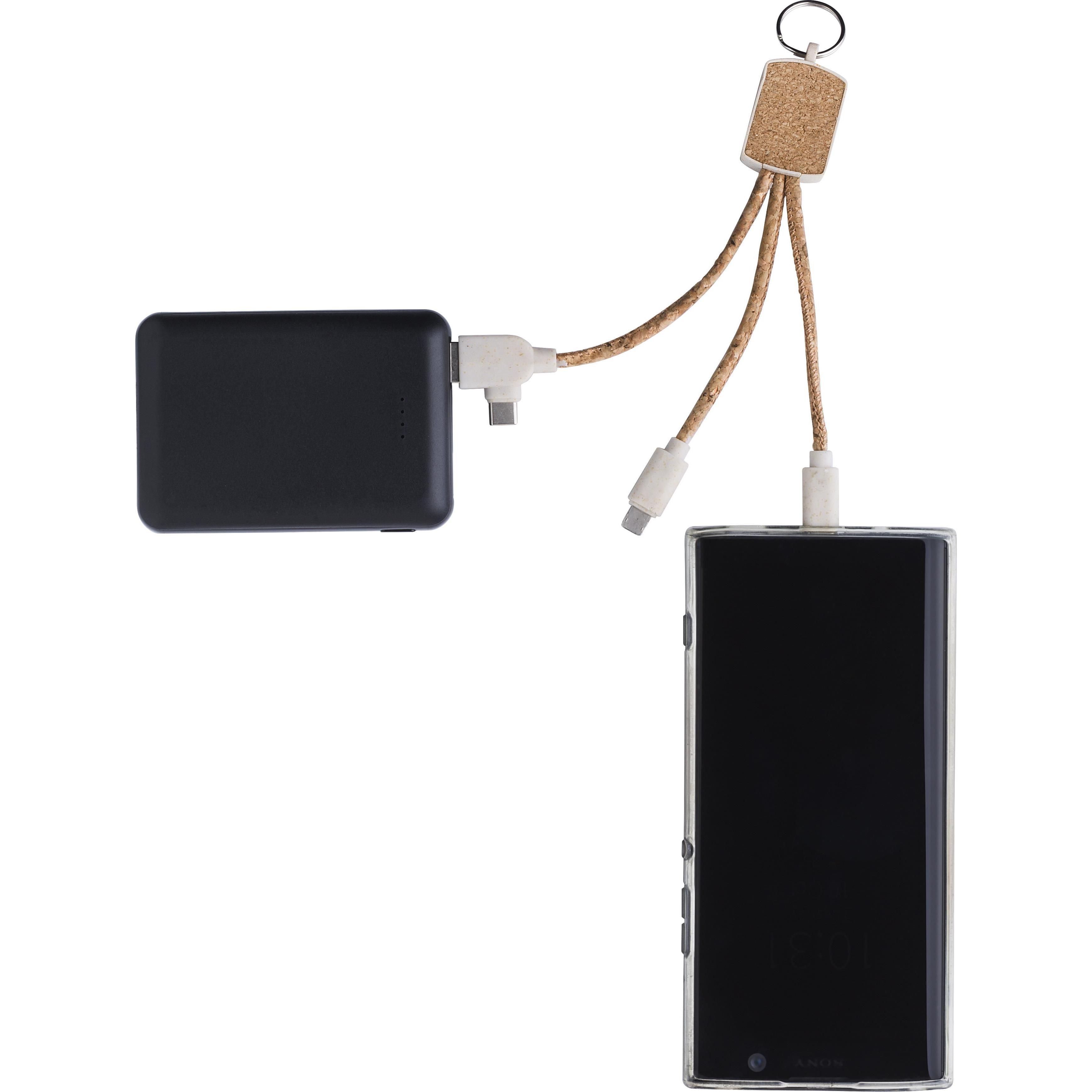 Ladekabel Landry | Schlüsselanhänger | Kork