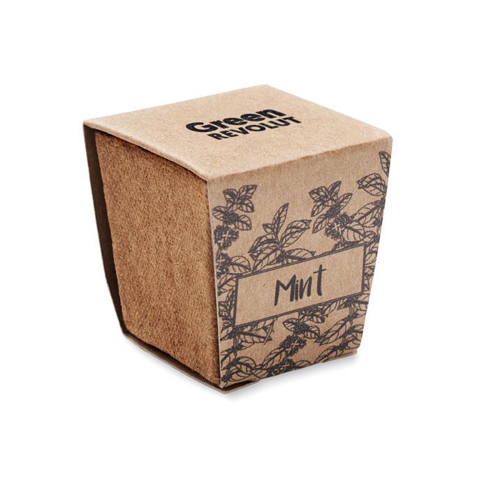Pflanz-Set Minze