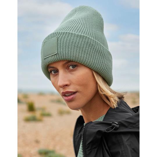 Biscuit