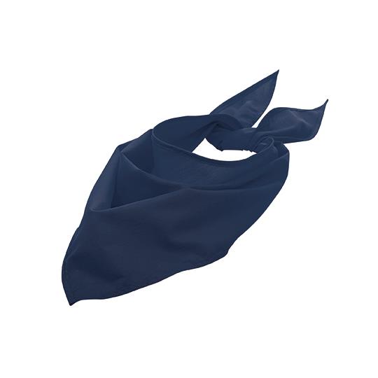 French Navy