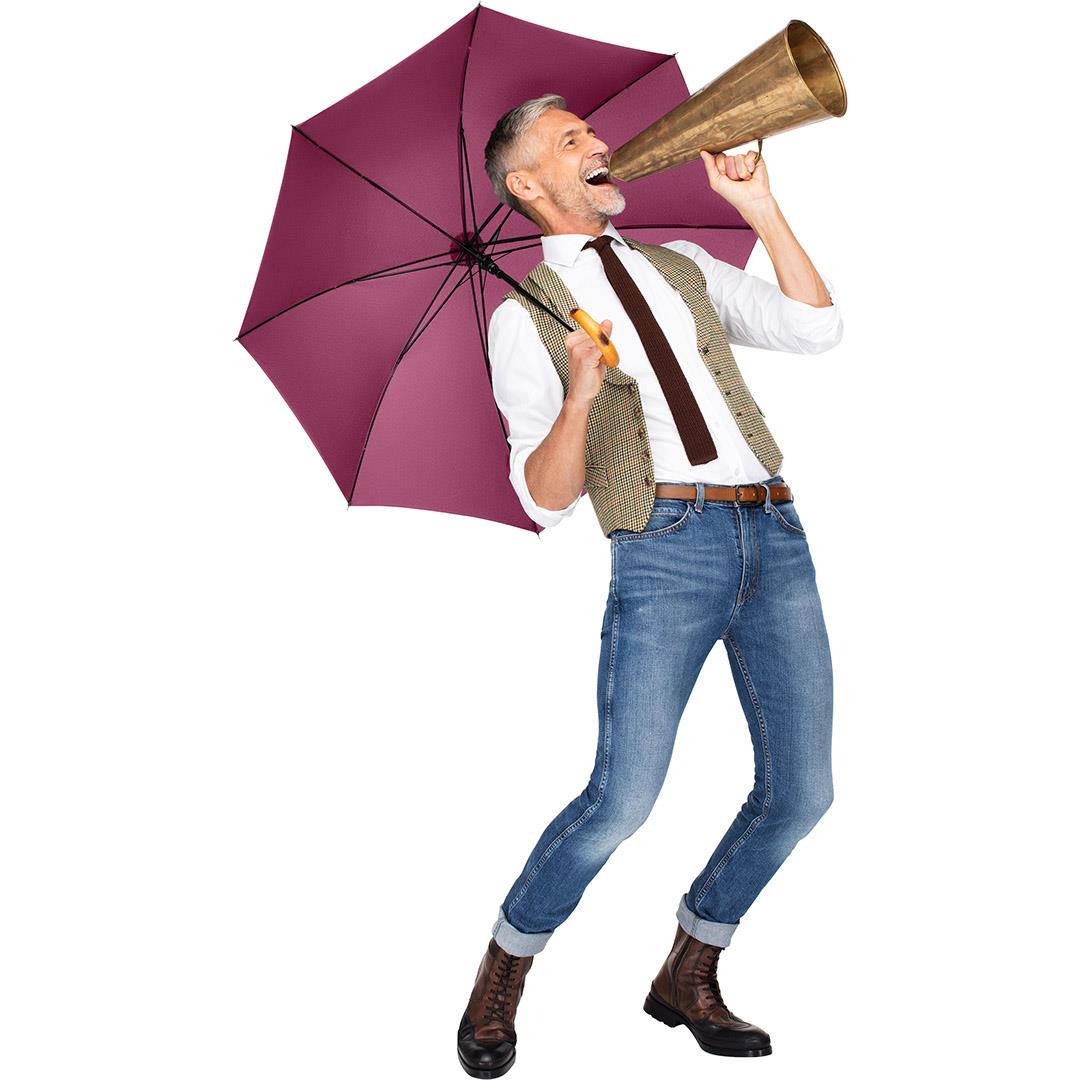 AC-Stockschirm