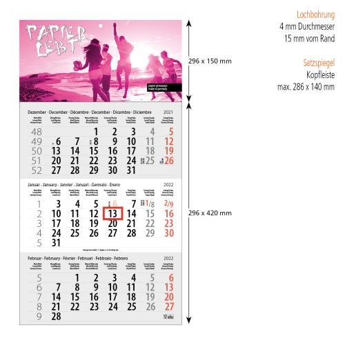 3-Monats DIN A3 Kalender ´Trinus Euro´
