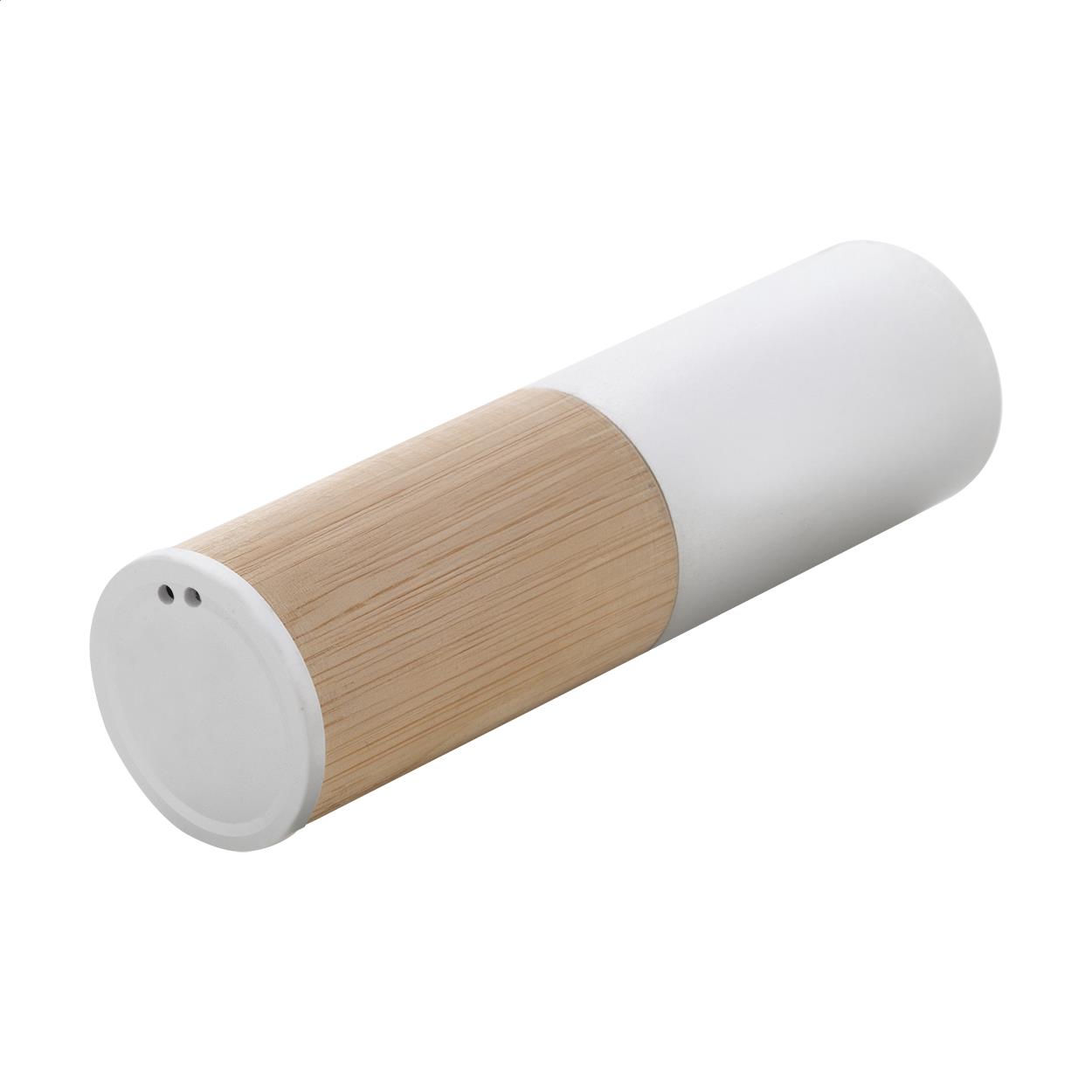 Powerbank