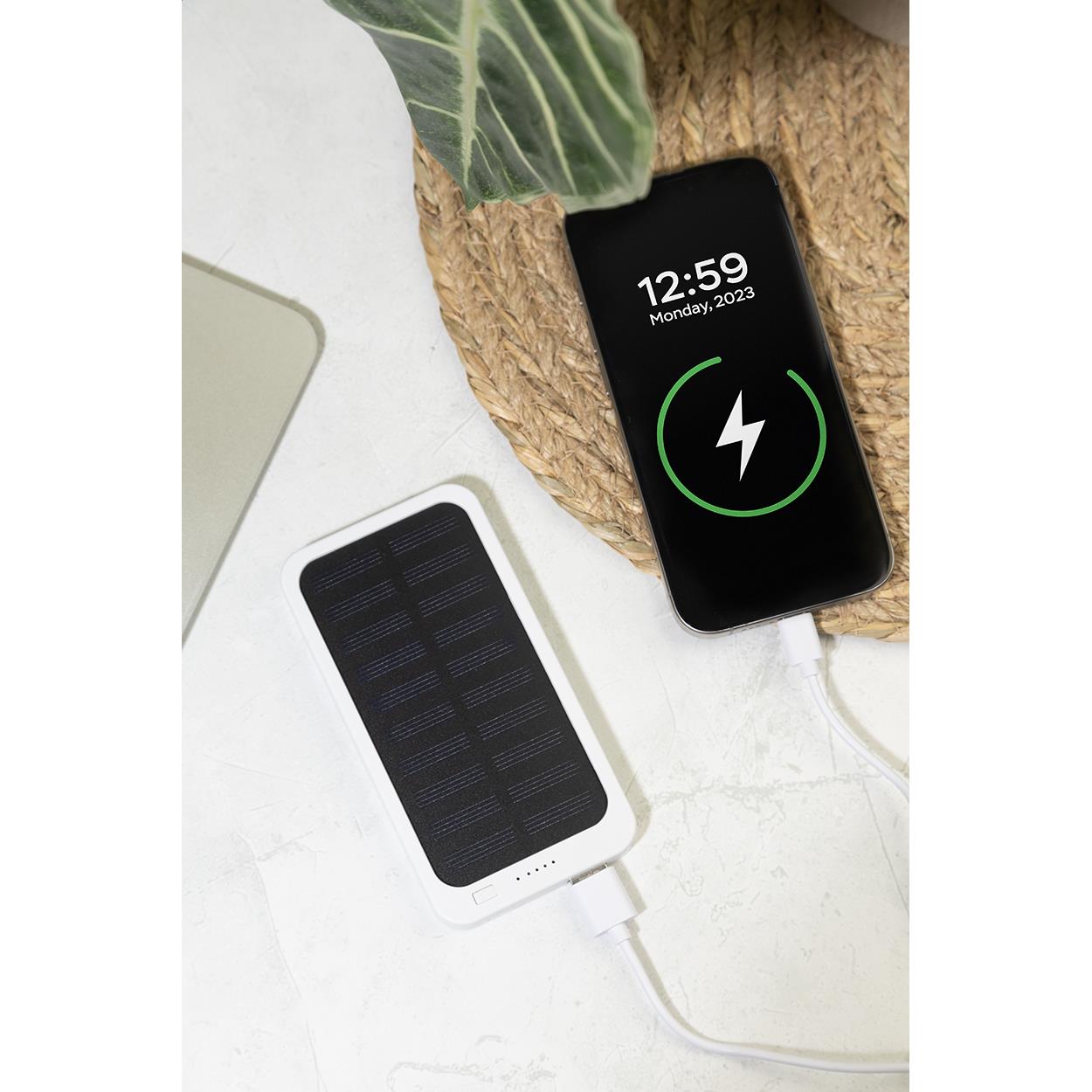 RABS-Powerbank