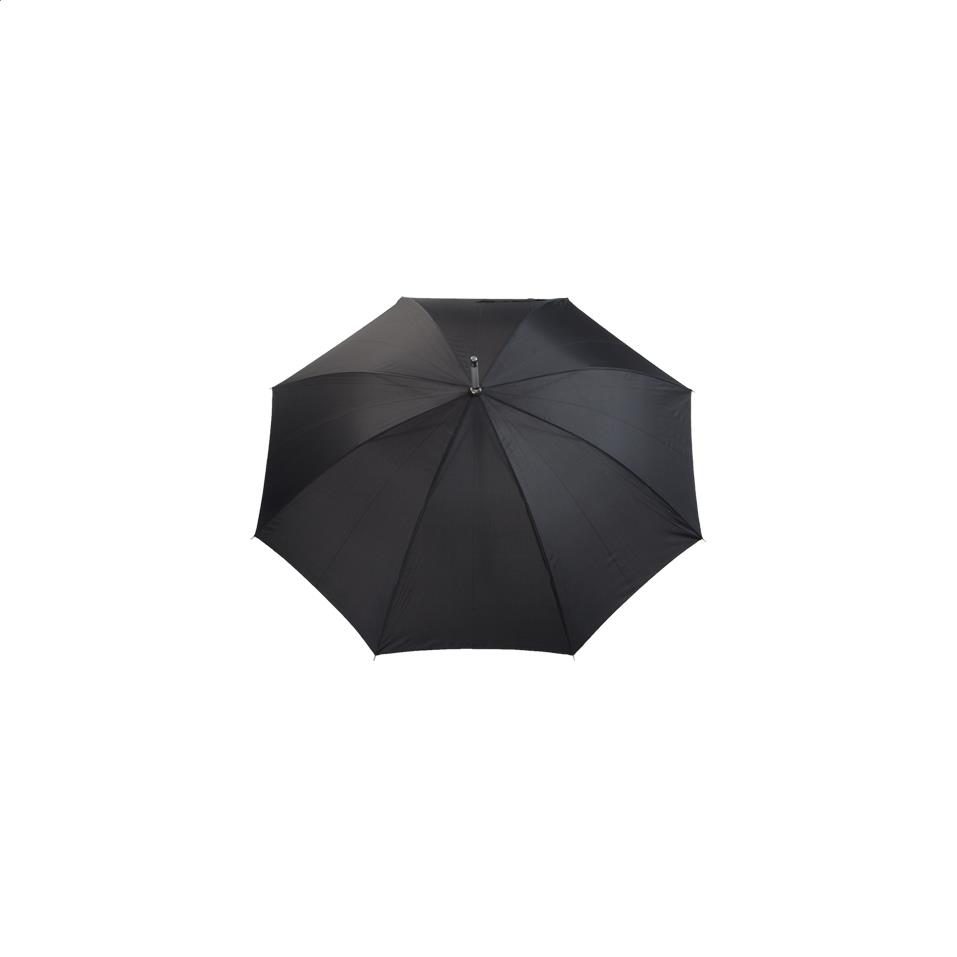 Regenschirm