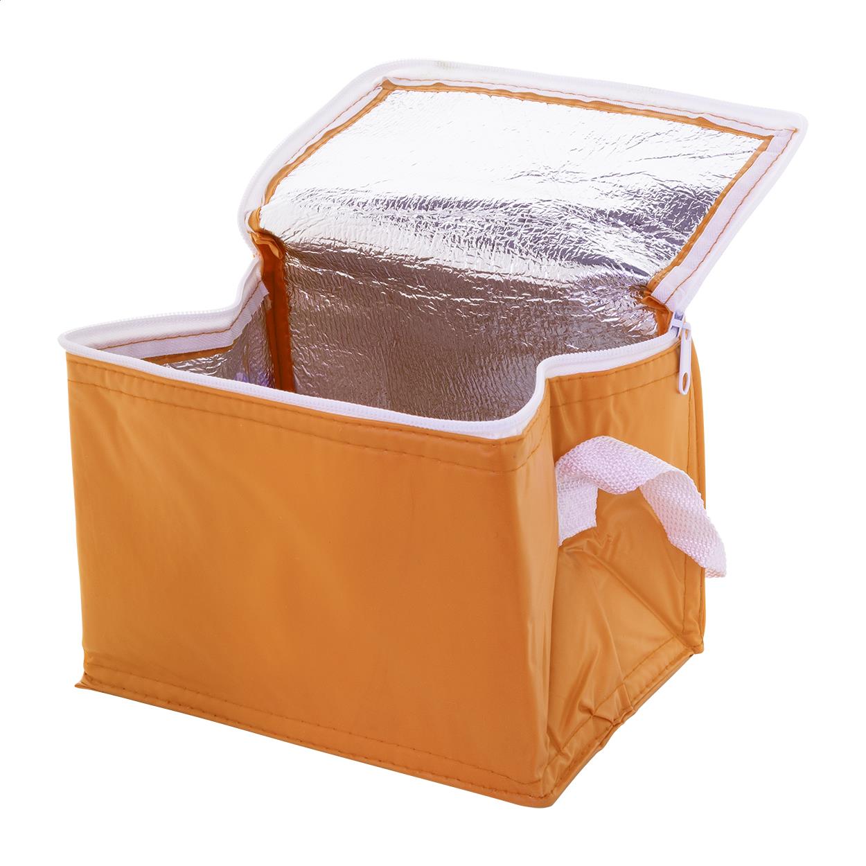 Kühltasche
