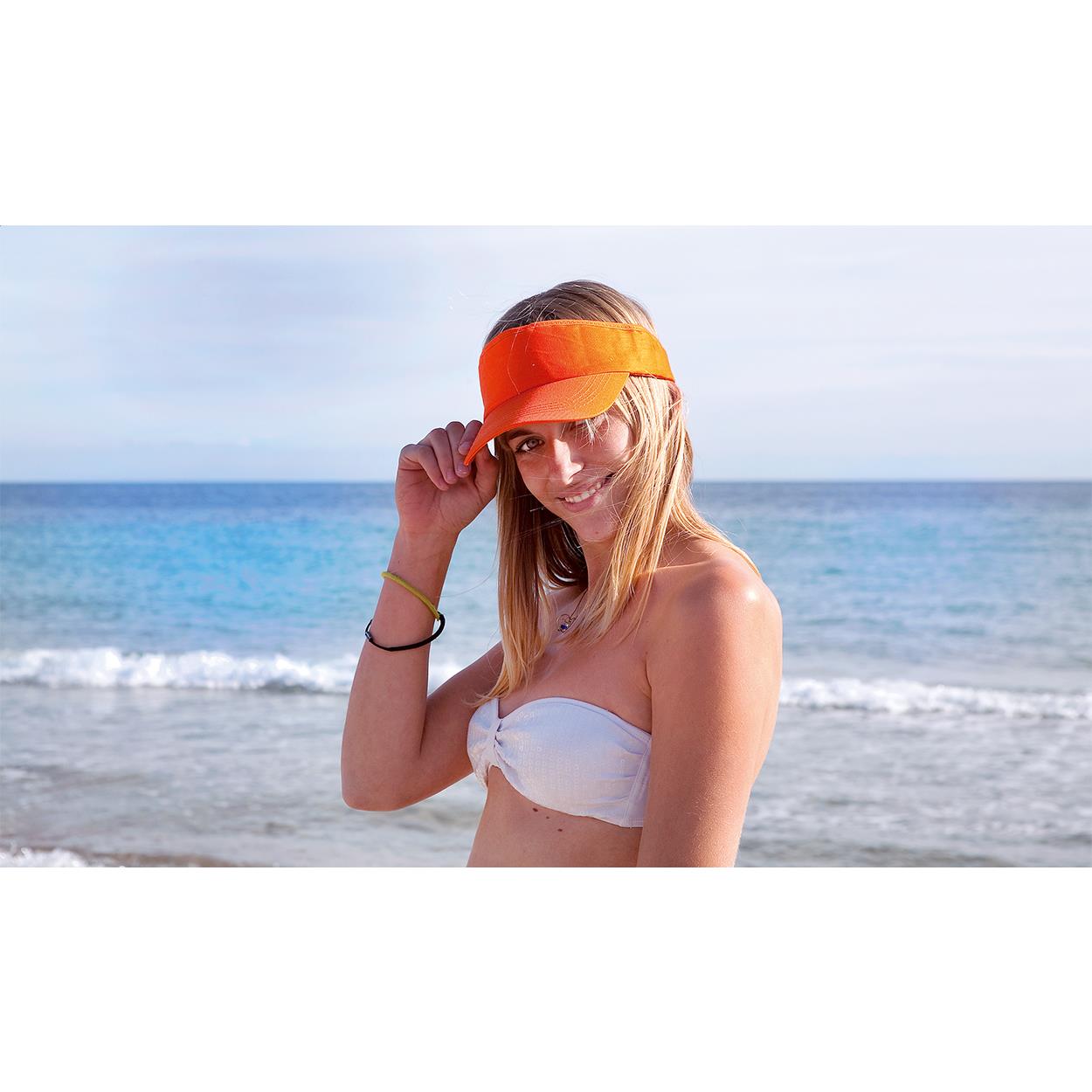 Sunvisor