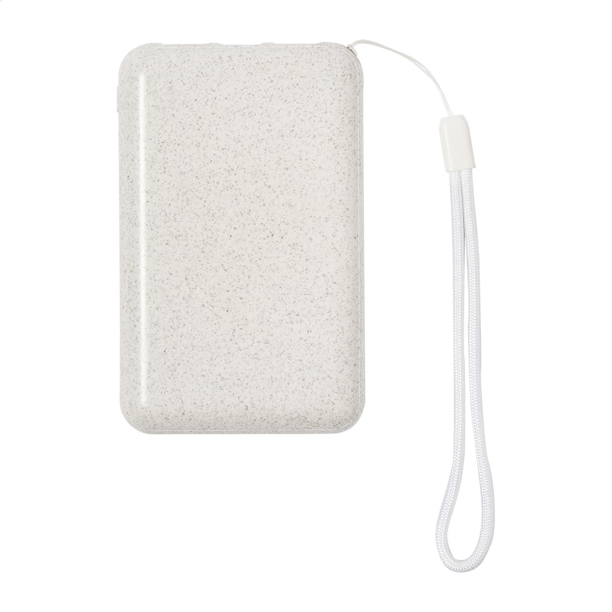 Powerbank