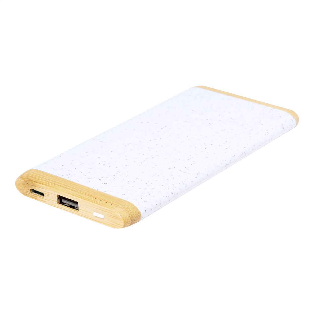 Powerbank