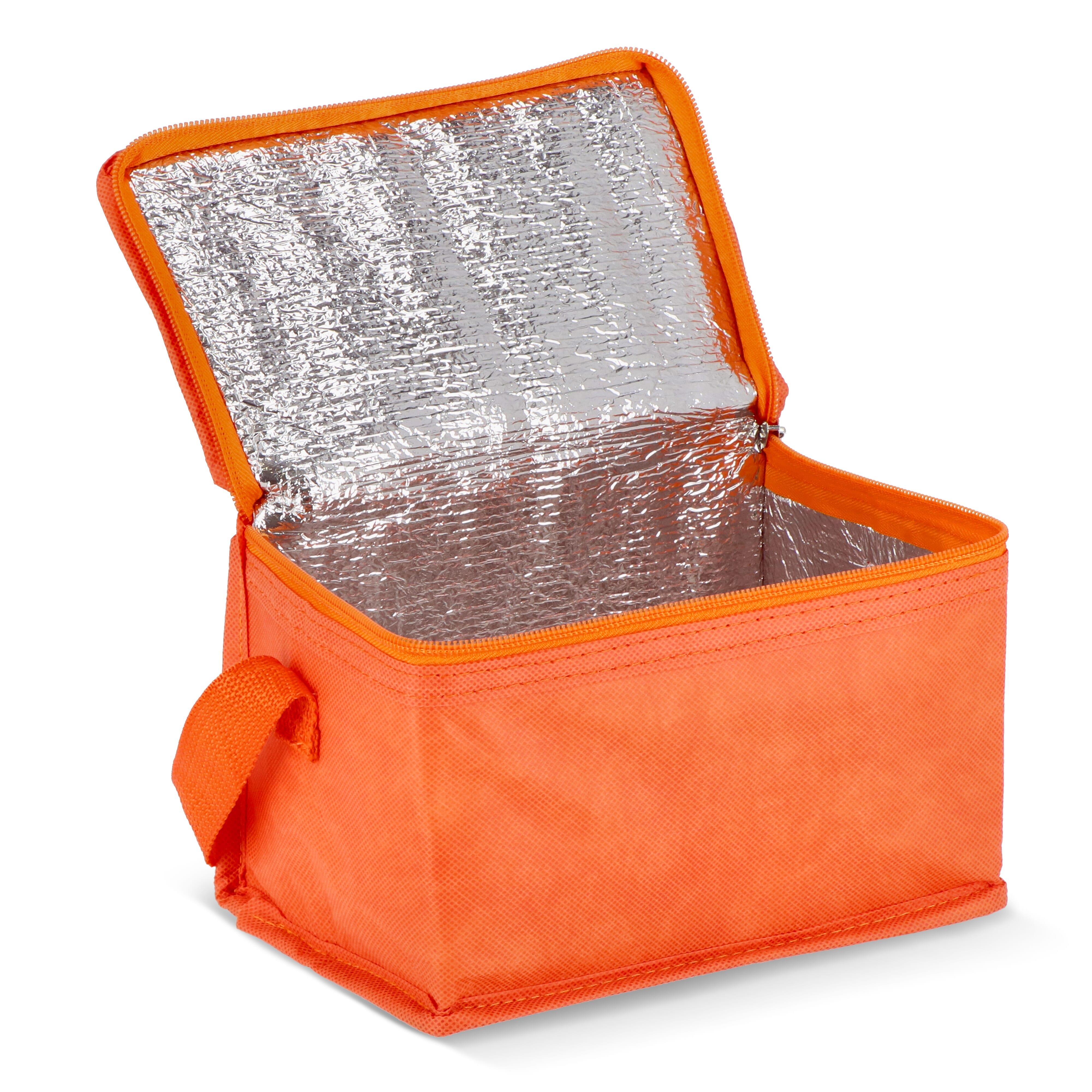 R-PET 6 Dosen-Kühltasche Non Woven 20x 13 x 12,5cm 75g/m²