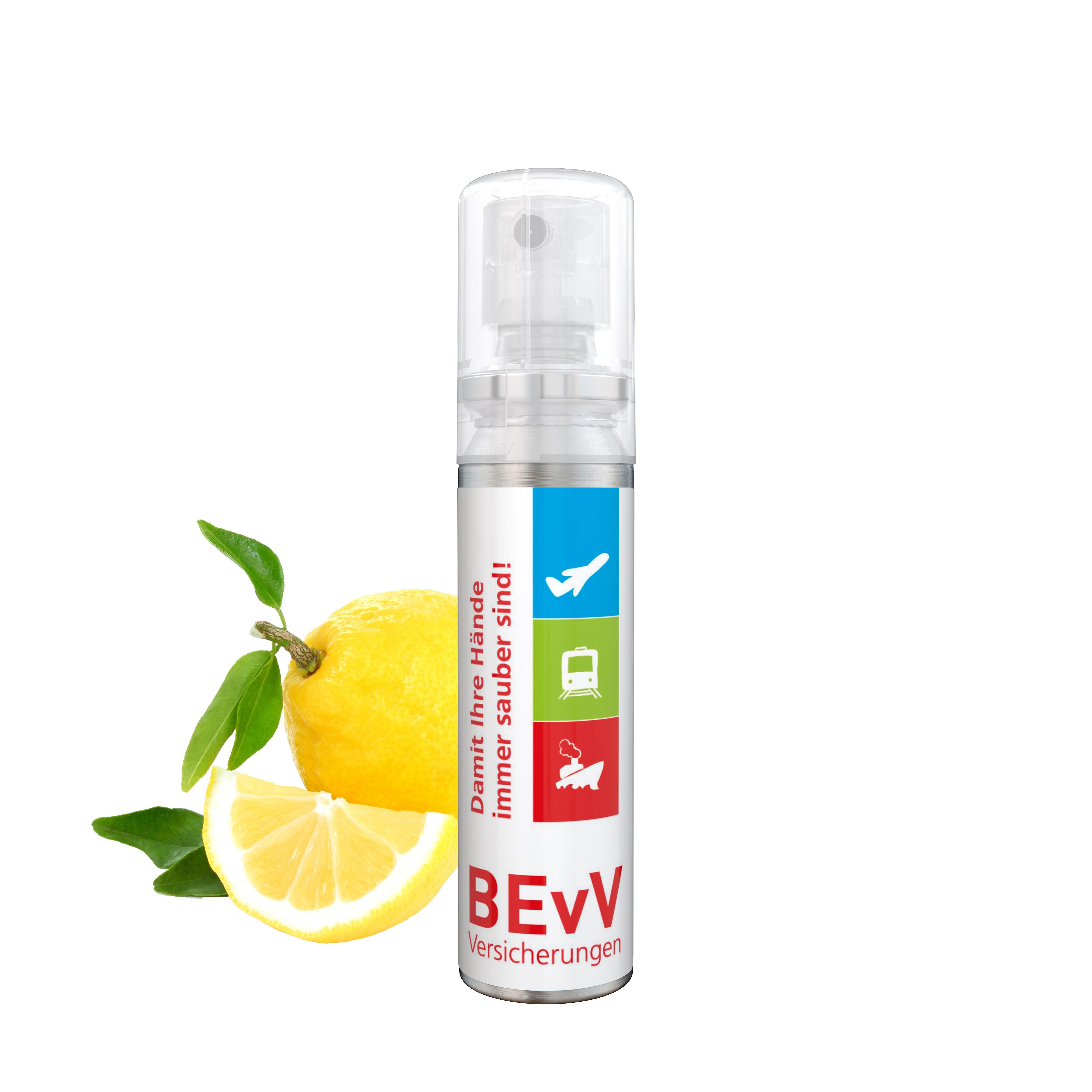 20 ml Spray - Handreinigungsspray (alk.) - Body Label