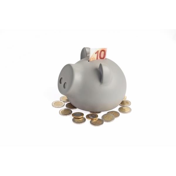 Sparschwein SAVE