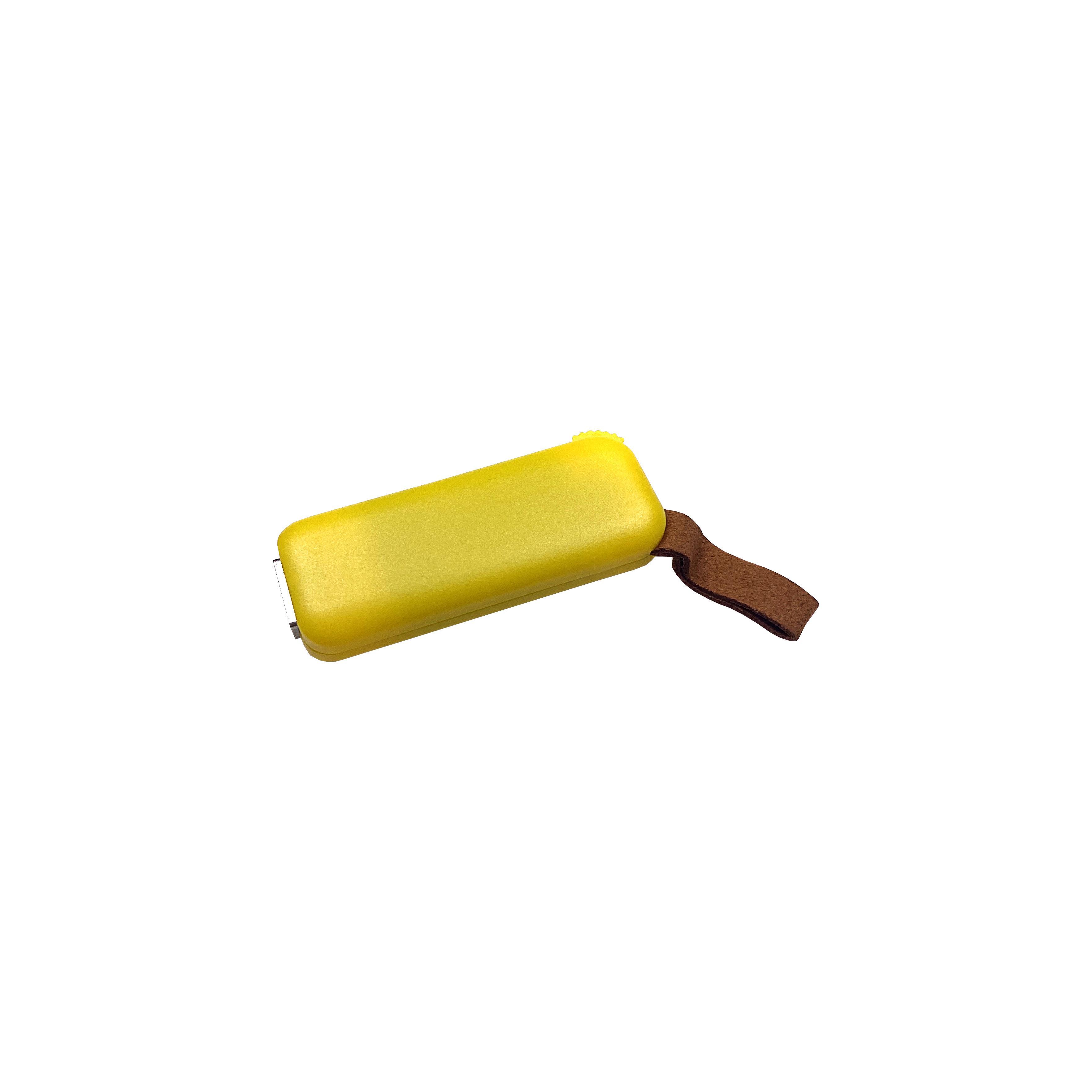 Modell F100 USB 2.0 Flash Disk   2 GB Gelb