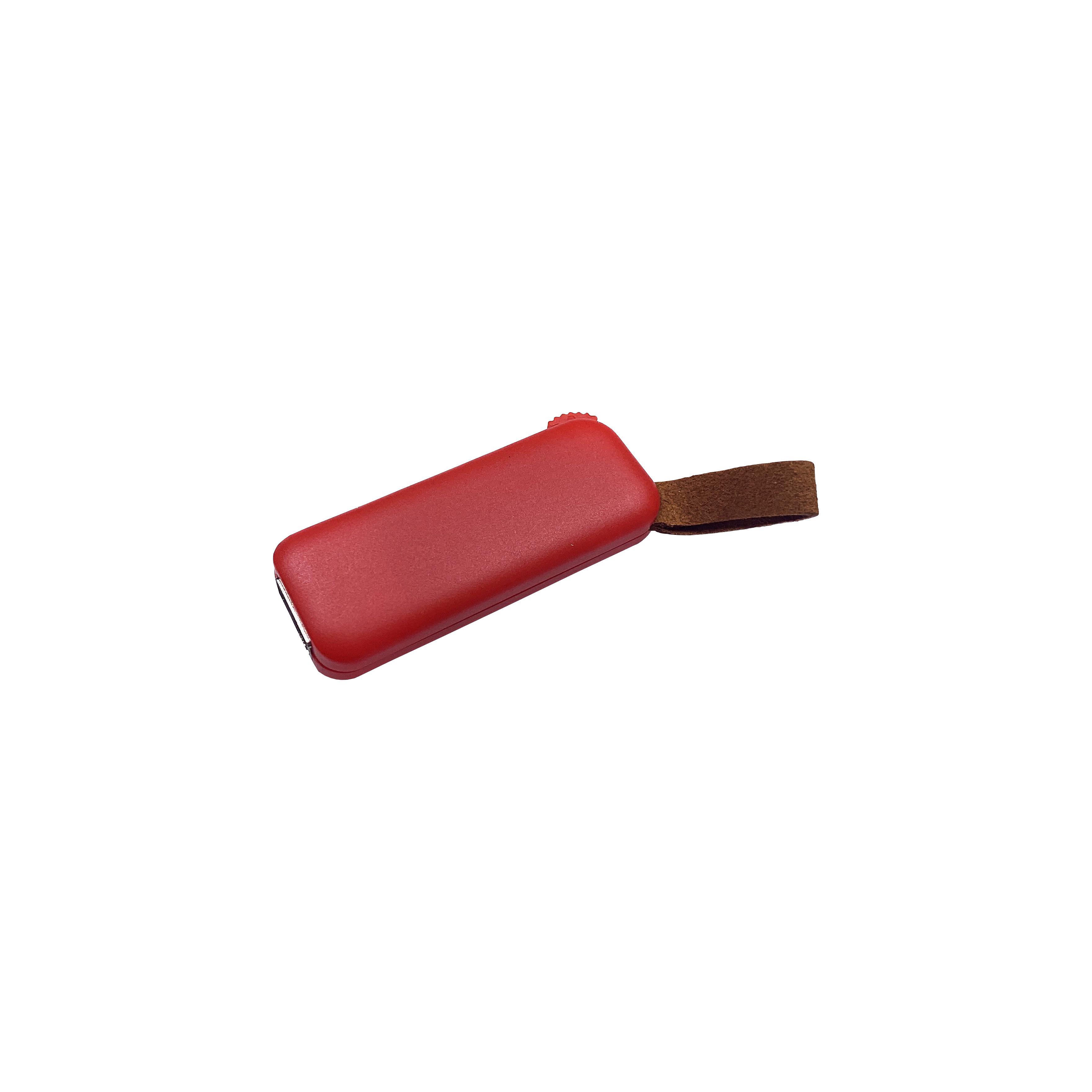 Modell F100 USB 3.0 Flash Disk 128 GB Rot